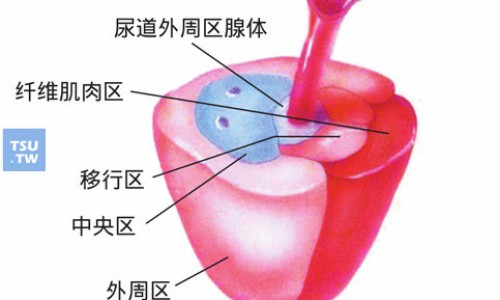 氯硝西泮禁忌网—知名的氯硝西泮片不良反应网站,分享氯硝西泮片是禁药吗知识